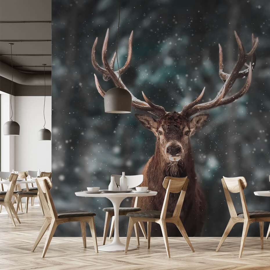Brectus Photo wallpaper for eateries 4